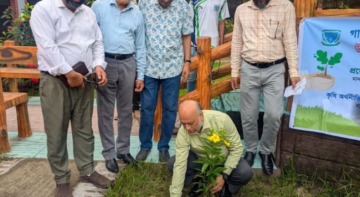 বাকৃবিতে চারা বিতরণ ও বৃক্ষরোপণ কর্মসূচি